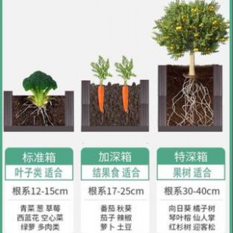 蔬菜种植箱阳台种菜盆家用种菜箱楼顶户外特大号花盆塑料